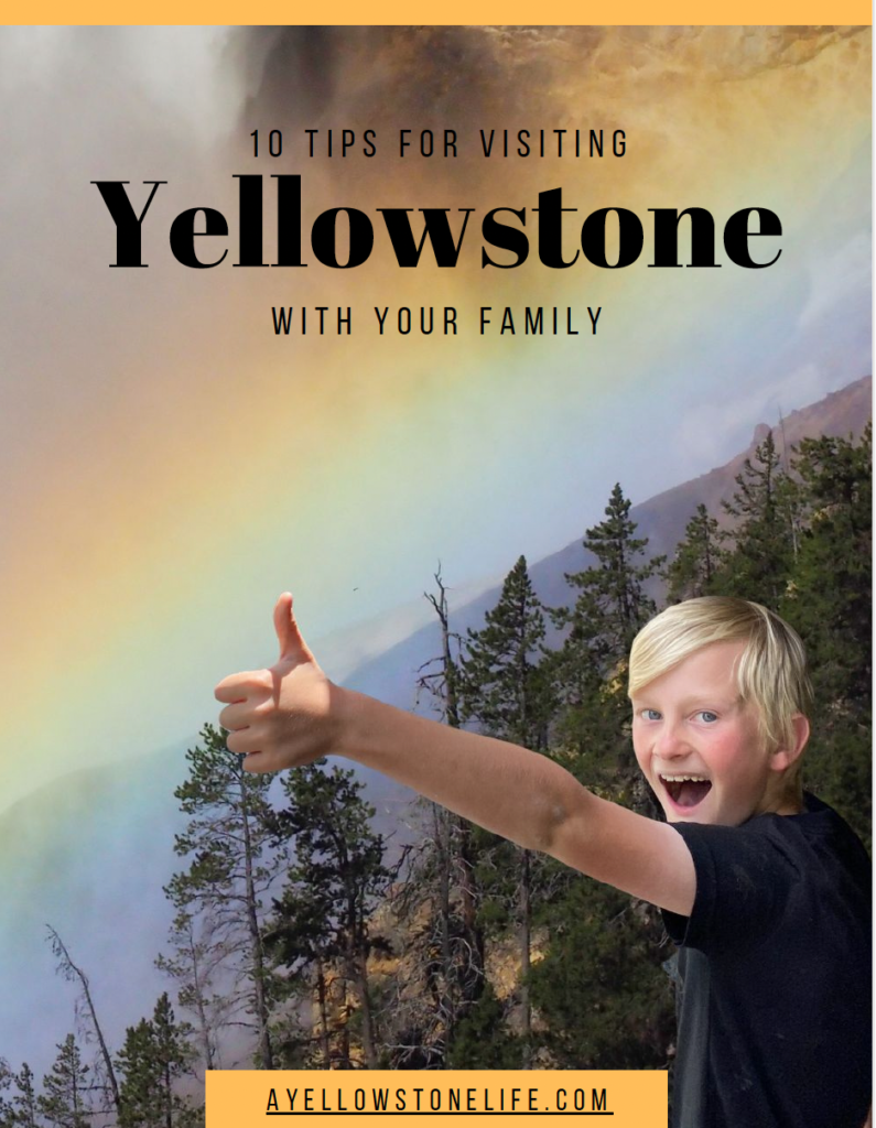 Ten tips for visiting yellowstone with your family