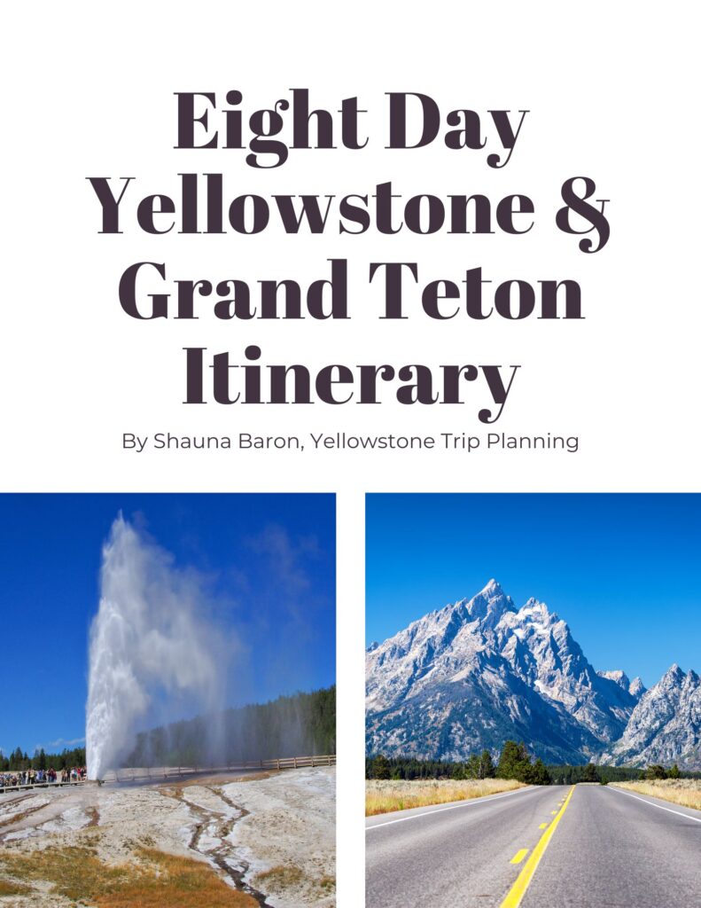 Eight day Yellowstone and grand teton itinerary