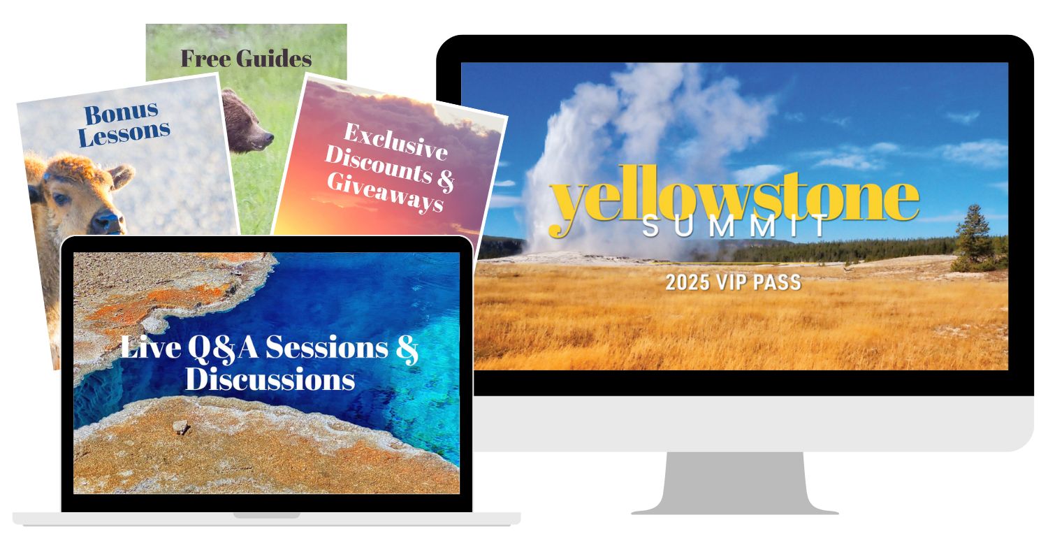 Yellowstone summit 2025 VIP Pass