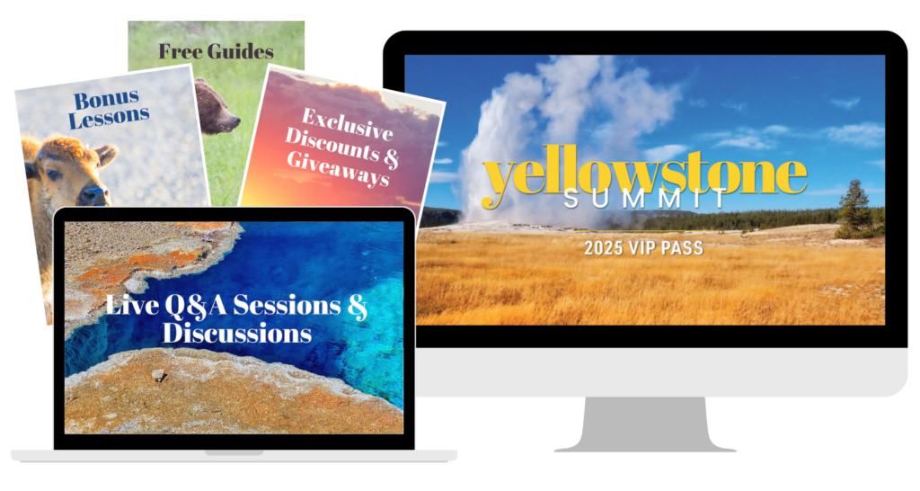 Yellowstone Summit VIP Pass